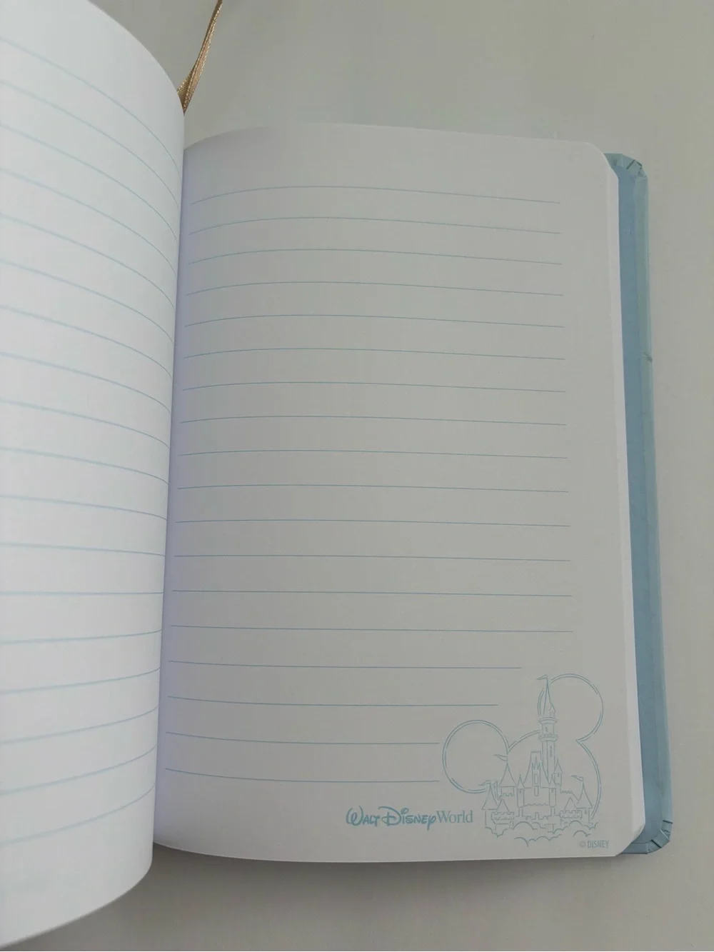 Walt Disney World Cinderella Castle Journal Notebook Lined Pages New